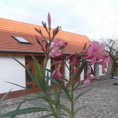 Guest house Birsalma Vendeghaz